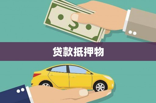 曲麻莱贷款抵押物