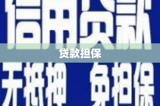 曲麻莱贷款担保