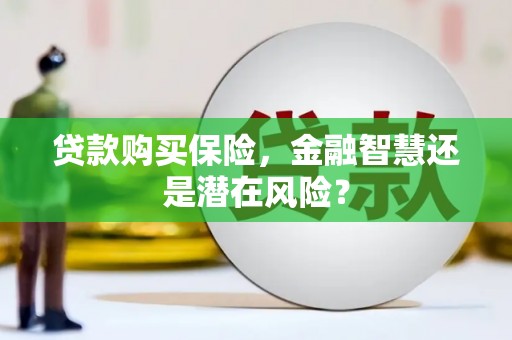 曲麻莱贷款购买保险，金融智慧还是潜在风险？