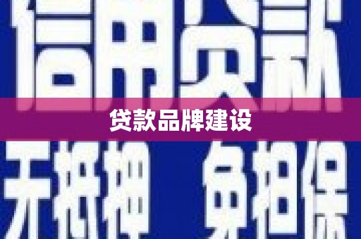 曲麻莱贷款品牌建设