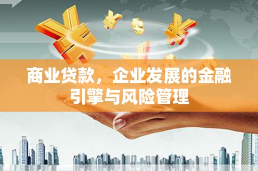 曲麻莱商业贷款，企业发展的金融引擎与风险管理