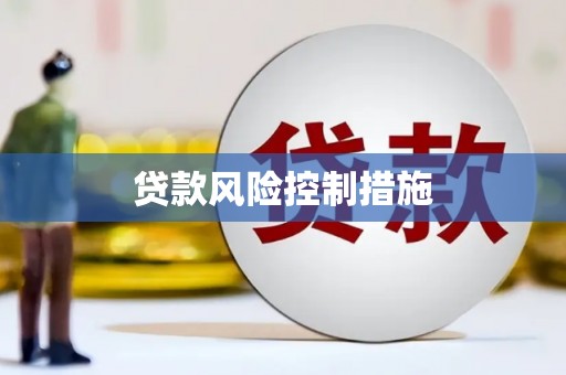 曲麻莱贷款风险控制措施