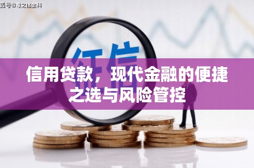 曲麻莱信用贷款，现代金融的便捷之选与风险管控