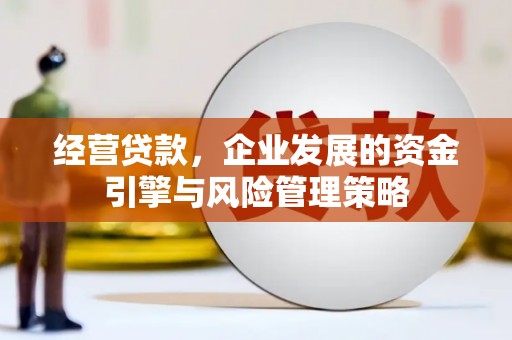 曲麻莱经营贷款，企业发展的资金引擎与风险管理策略