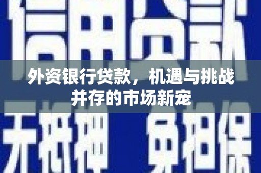 曲麻莱外资银行贷款，机遇与挑战并存的市场新宠