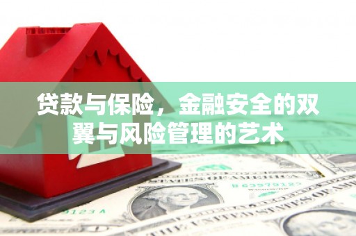 曲麻莱贷款与保险，金融安全的双翼与风险管理的艺术