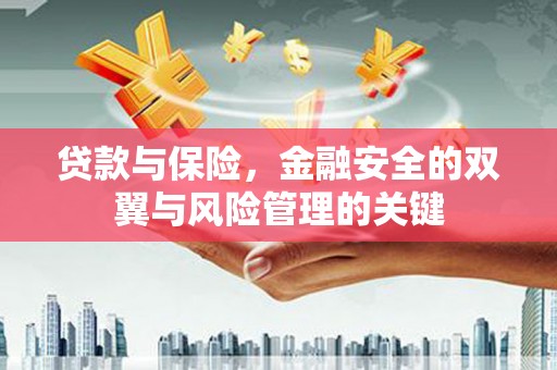 曲麻莱贷款与保险，金融安全的双翼与风险管理的关键
