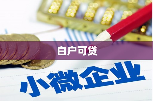 曲麻莱白户可贷