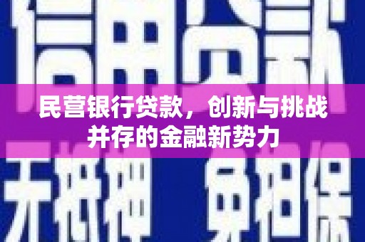 曲麻莱民营银行贷款，创新与挑战并存的金融新势力