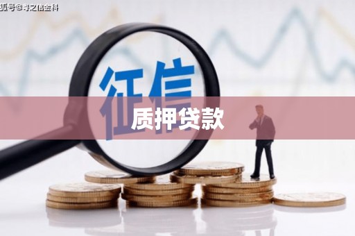 曲麻莱质押贷款