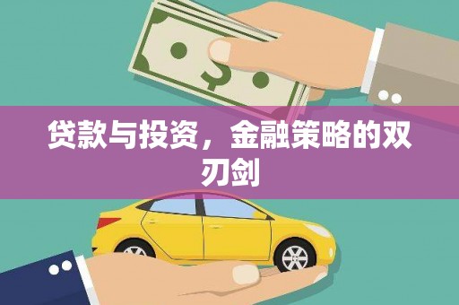 曲麻莱贷款与投资，金融策略的双刃剑