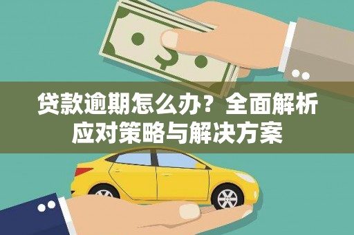 曲麻莱贷款逾期怎么办？全面解析应对策略与解决方案
