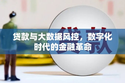 曲麻莱贷款与大数据风控，数字化时代的金融革命