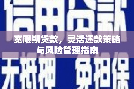 曲麻莱宽限期贷款，灵活还款策略与风险管理指南