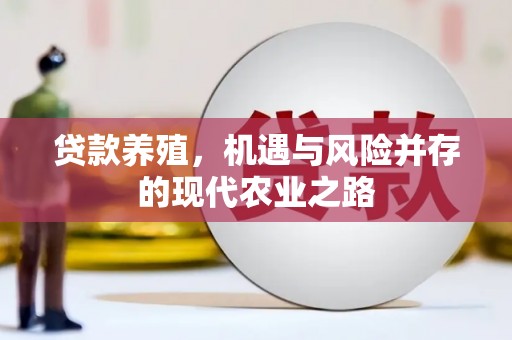 曲麻莱贷款养殖，机遇与风险并存的现代农业之路