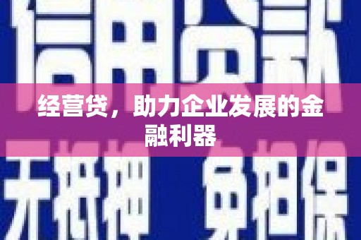 曲麻莱经营贷，助力企业发展的金融利器