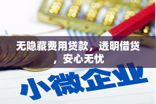 曲麻莱无隐藏费用贷款，透明借贷，安心无忧