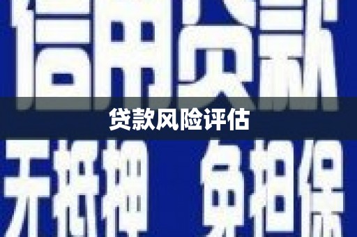 曲麻莱贷款风险评估