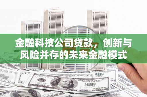 曲麻莱金融科技公司贷款，创新与风险并存的未来金融模式