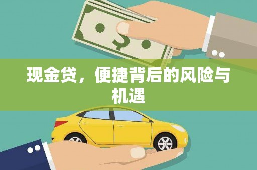 曲麻莱现金贷，便捷背后的风险与机遇