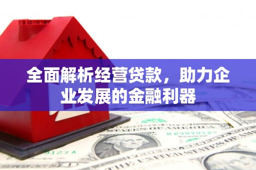 曲麻莱全面解析经营贷款，助力企业发展的金融利器