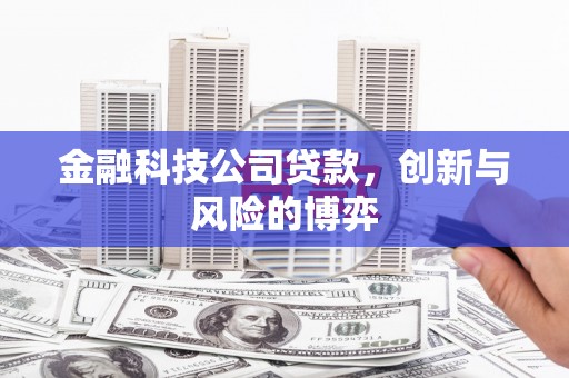 曲麻莱金融科技公司贷款，创新与风险的博弈