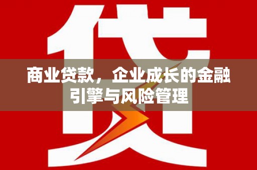 曲麻莱商业贷款，企业成长的金融引擎与风险管理