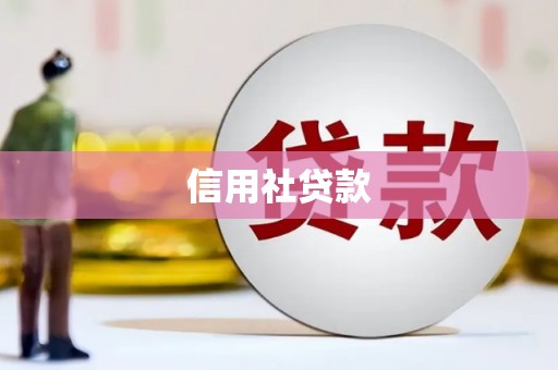 曲麻莱信用社贷款