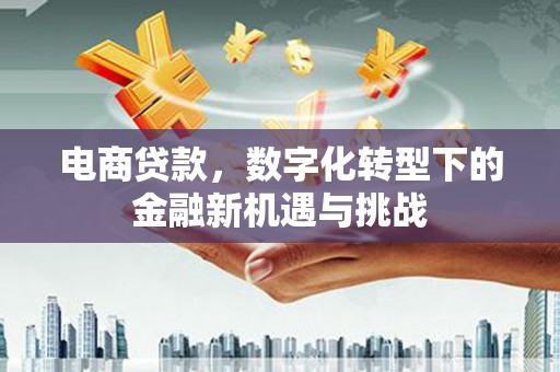 曲麻莱电商贷款，数字化转型下的金融新机遇与挑战