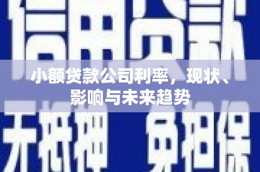 曲麻莱小额贷款公司利率，现状、影响与未来趋势