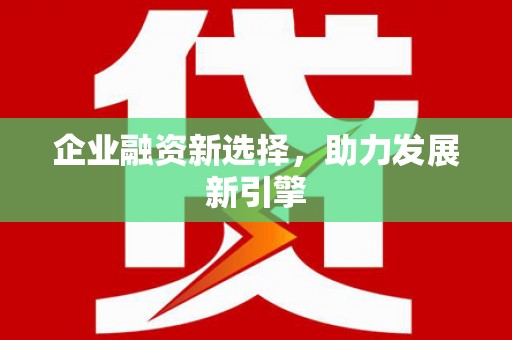 曲麻莱企业融资新选择，助力发展新引擎
