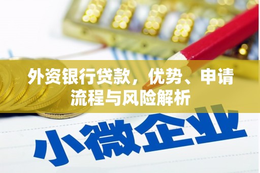 曲麻莱外资银行贷款，优势、申请流程与风险解析