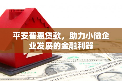 曲麻莱平安普惠贷款，助力小微企业发展的金融利器