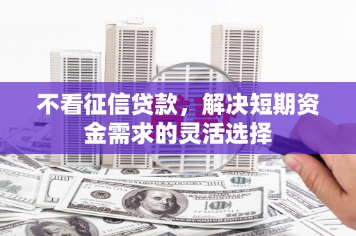 曲麻莱不看征信贷款，解决短期资金需求的灵活选择