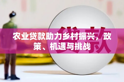 曲麻莱农业贷款助力乡村振兴，政策、机遇与挑战