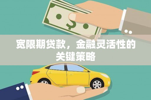 曲麻莱宽限期贷款，金融灵活性的关键策略