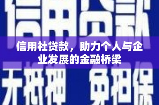 曲麻莱信用社贷款，助力个人与企业发展的金融桥梁