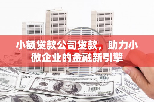 曲麻莱小额贷款公司贷款，助力小微企业的金融新引擎