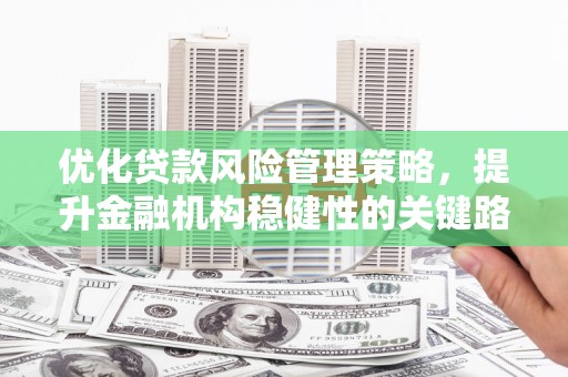 曲麻莱优化贷款风险管理策略，提升金融机构稳健性的关键路径