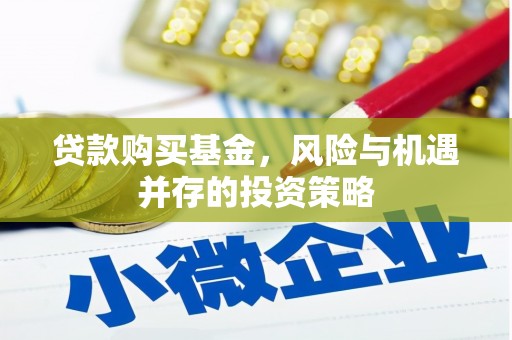 曲麻莱贷款购买基金，风险与机遇并存的投资策略