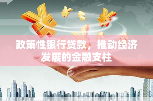 曲麻莱政策性银行贷款，推动经济发展的金融支柱