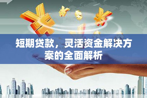 曲麻莱短期贷款，灵活资金解决方案的全面解析