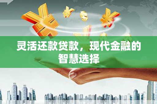 曲麻莱灵活还款贷款，现代金融的智慧选择