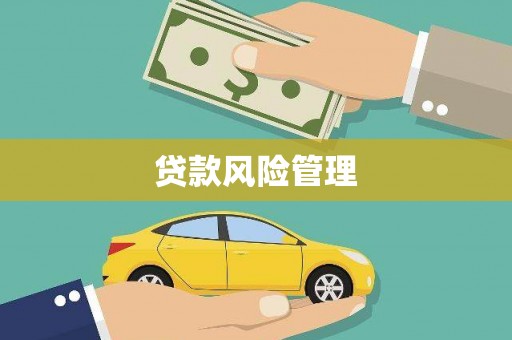 曲麻莱贷款风险管理