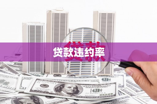 曲麻莱贷款违约率