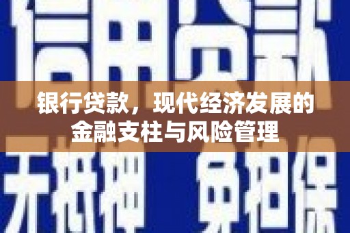 曲麻莱银行贷款，现代经济发展的金融支柱与风险管理
