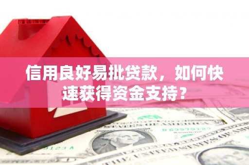 曲麻莱信用良好易批贷款，如何快速获得资金支持？