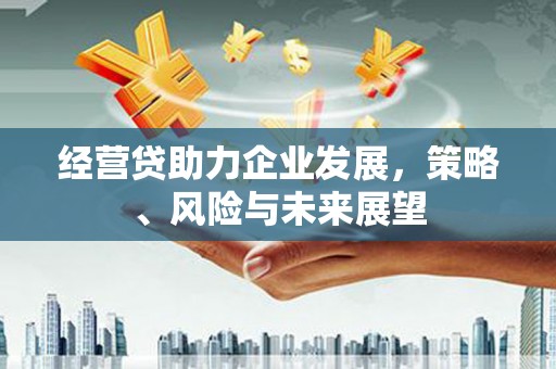 曲麻莱经营贷助力企业发展，策略、风险与未来展望