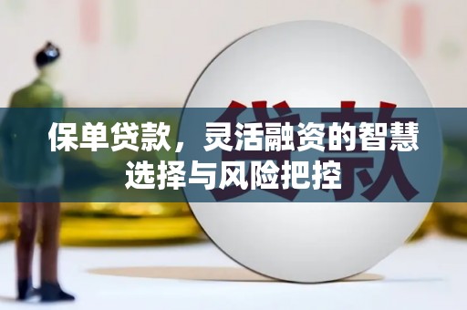 曲麻莱保单贷款，灵活融资的智慧选择与风险把控