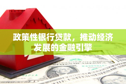曲麻莱政策性银行贷款，推动经济发展的金融引擎